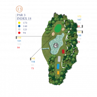 HOLE 13